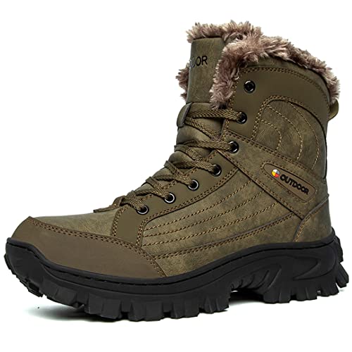 Brown4