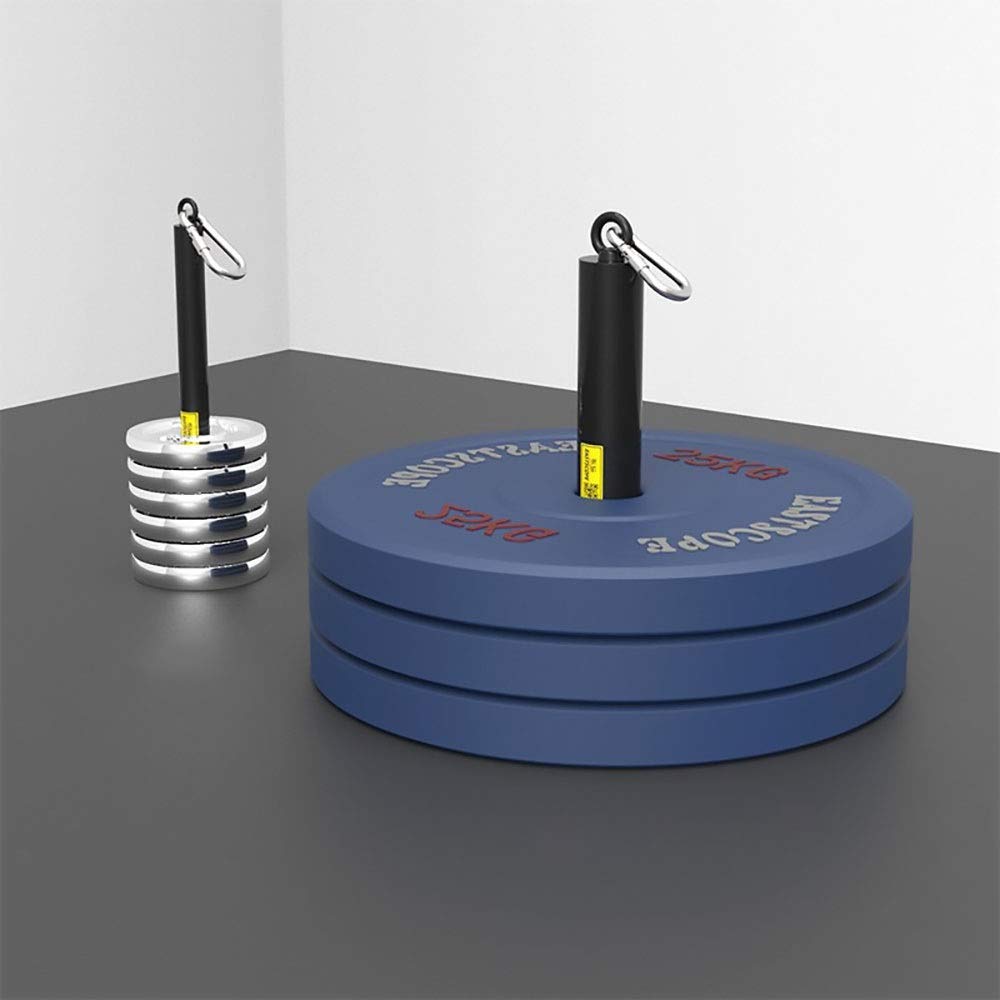 CKIDS Olympic Weight Plates Loading Pin - 2