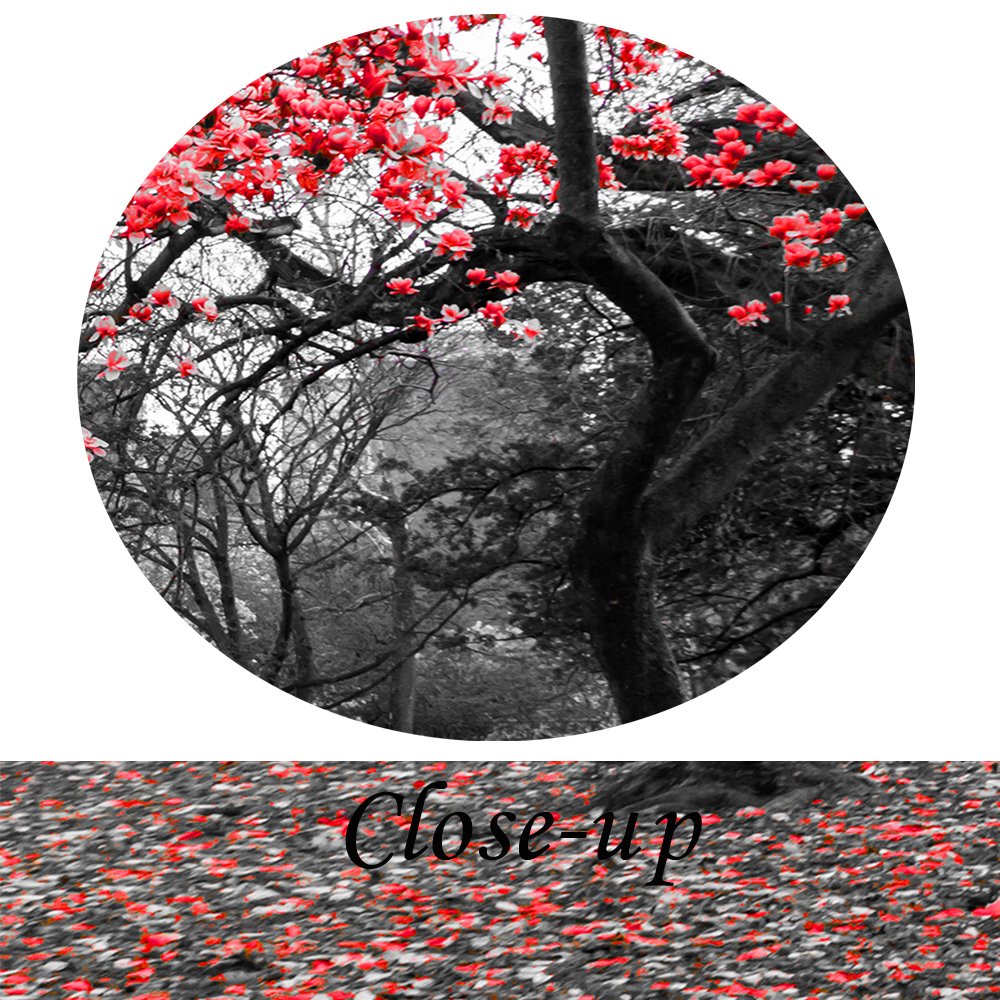Modern Canvas Wall Art - 5 Piece Black White & Red Tree Landscape Giclee Print Painting for Home Decor | Extra Large 80x40 Inch | Perfect for Living Room, Bedroom & Office Wall Decoration