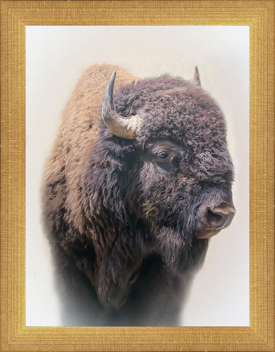 Bison By Matthew Grant | Premium Bison Meat & Jerky | High-Protein Snacks for Camping, Hiking & Outdoor Adventures