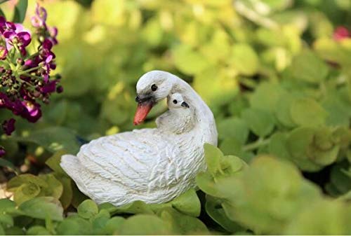 Miniature Fairy Garden Accessories - Swan with Baby Figurine for Dollhouse, Outdoor & Home Garden Decor | Perfect for Fairy Gardens, Terrariums & DIY Miniature Scenes