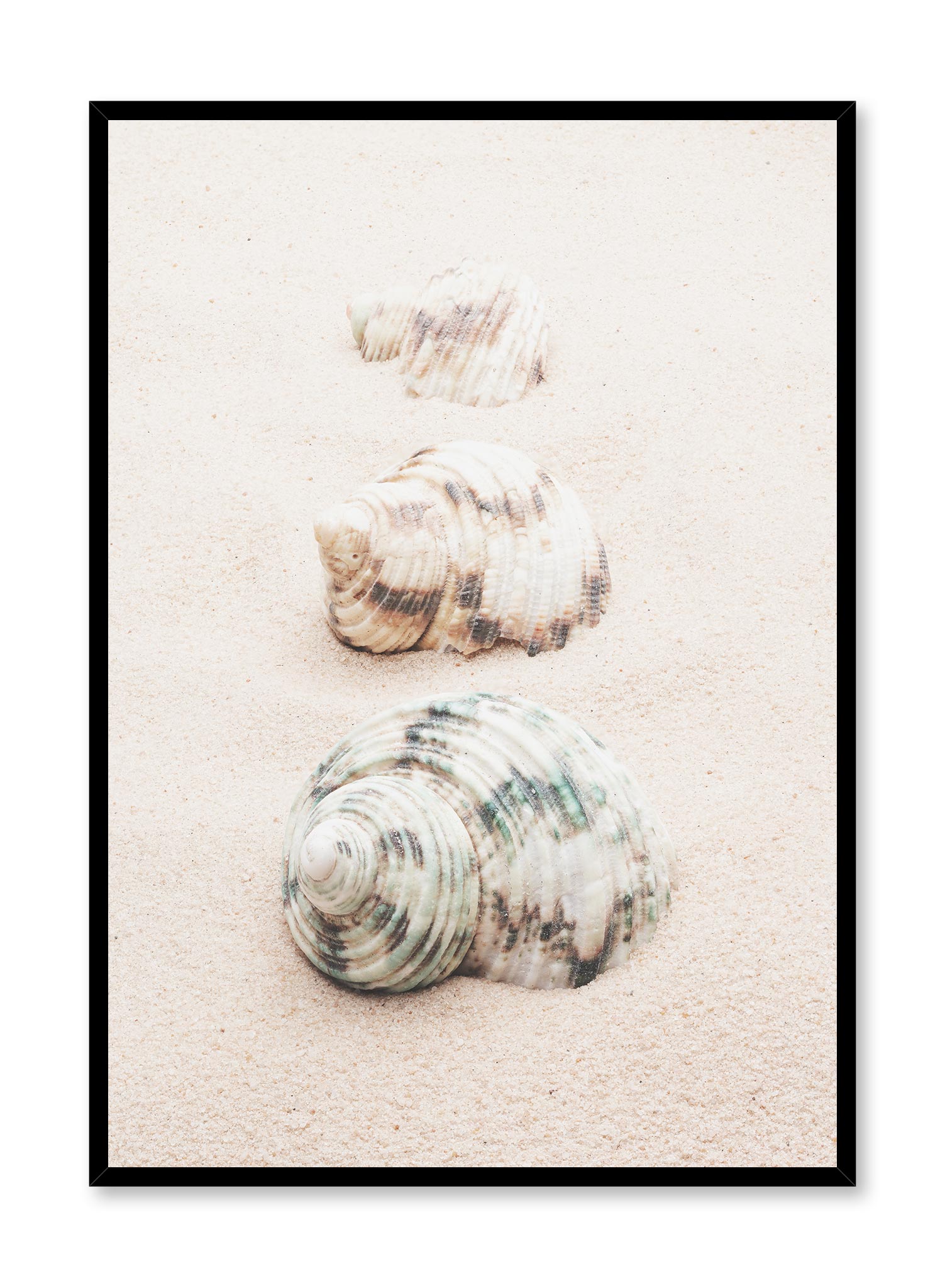 Seashell Road Vintage Travel Poster - Beach & Coastal Wall Art Decor for Home, Office, or Gift