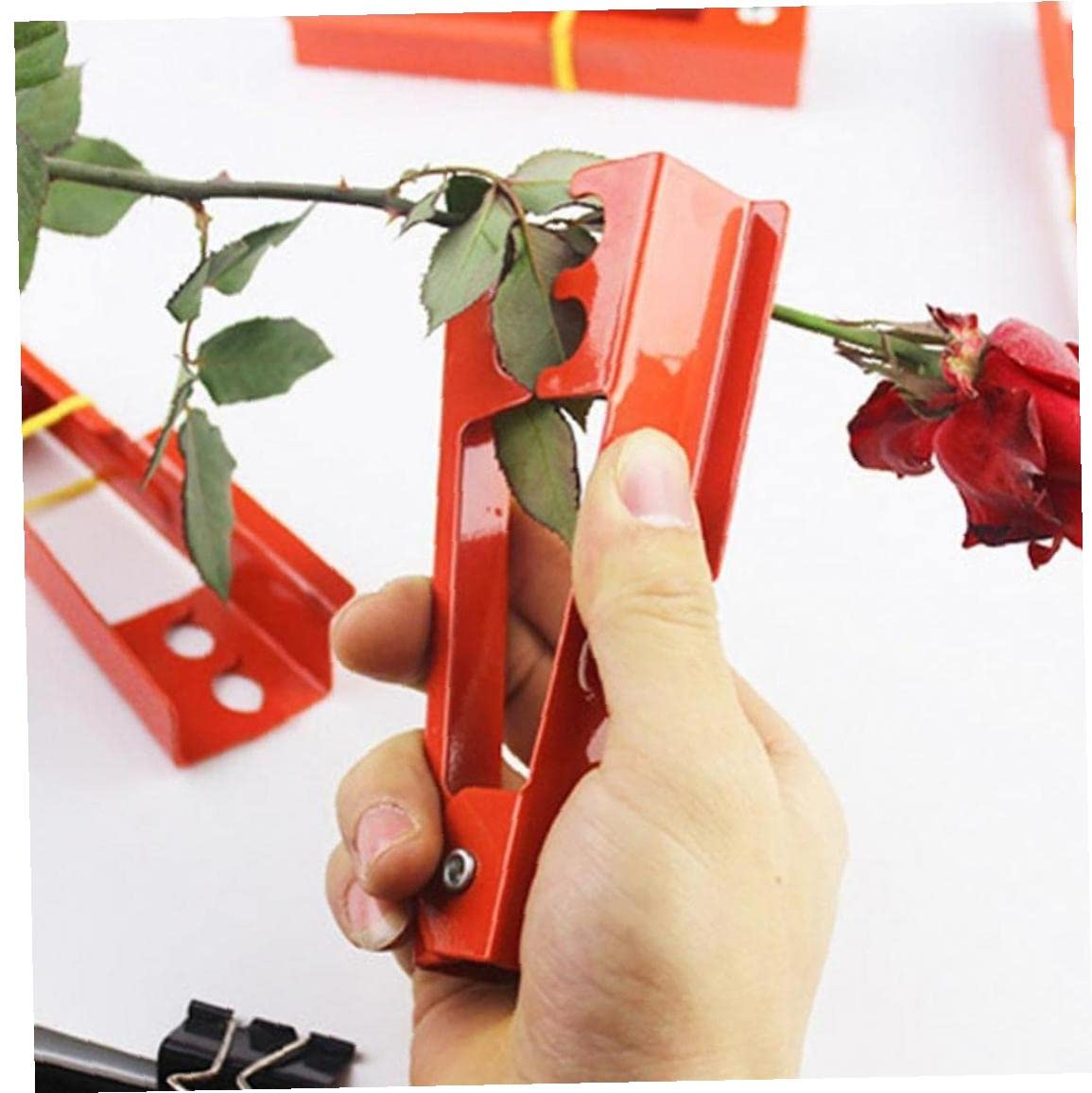 Rose Pliers - Professional Burr Remover & Flower Stem Stripper for Pruning Rose Thorns, Leaves & Branches - Ideal for Gardening, Floral Arrangements & DIY Bouquets