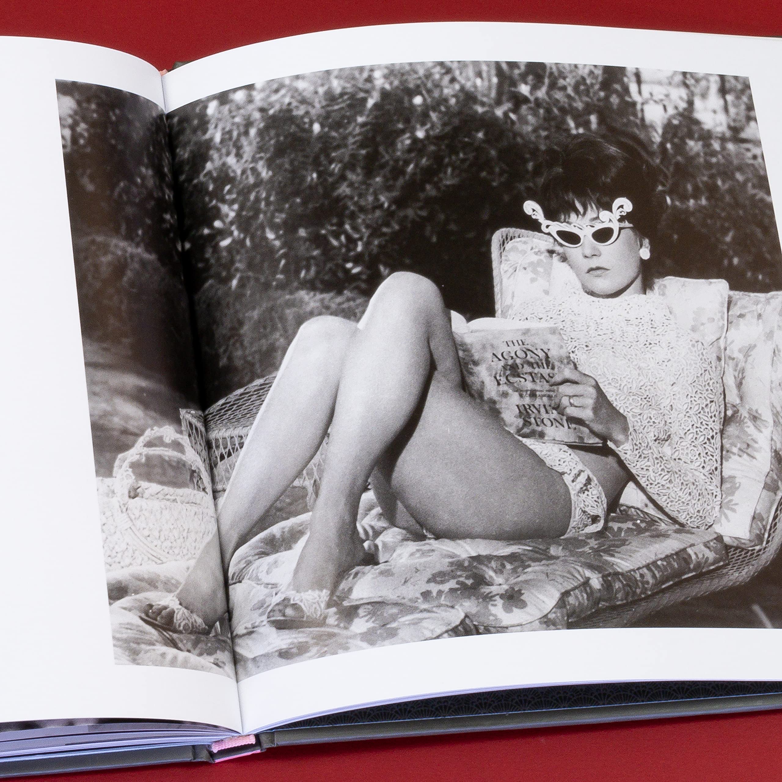 The Hollywood Book Club: Best Portrait & Celebrity Photography Books for Coffee Tables | Old Hollywood Glamour & History | Perfect Gift for Film Lovers & Home Decor