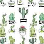 Cute Cactus