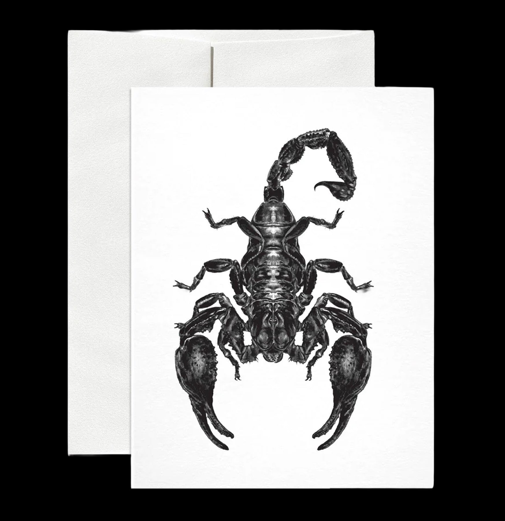 Emperor Scorpion Greeting Card - Unique Arachnid-Themed Stationery for Halloween, Birthday & Special Occasions - Perfect for Scorpio Zodiac Gifts & Insect Lovers