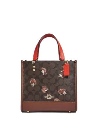 Coach Dempsey Tote 22