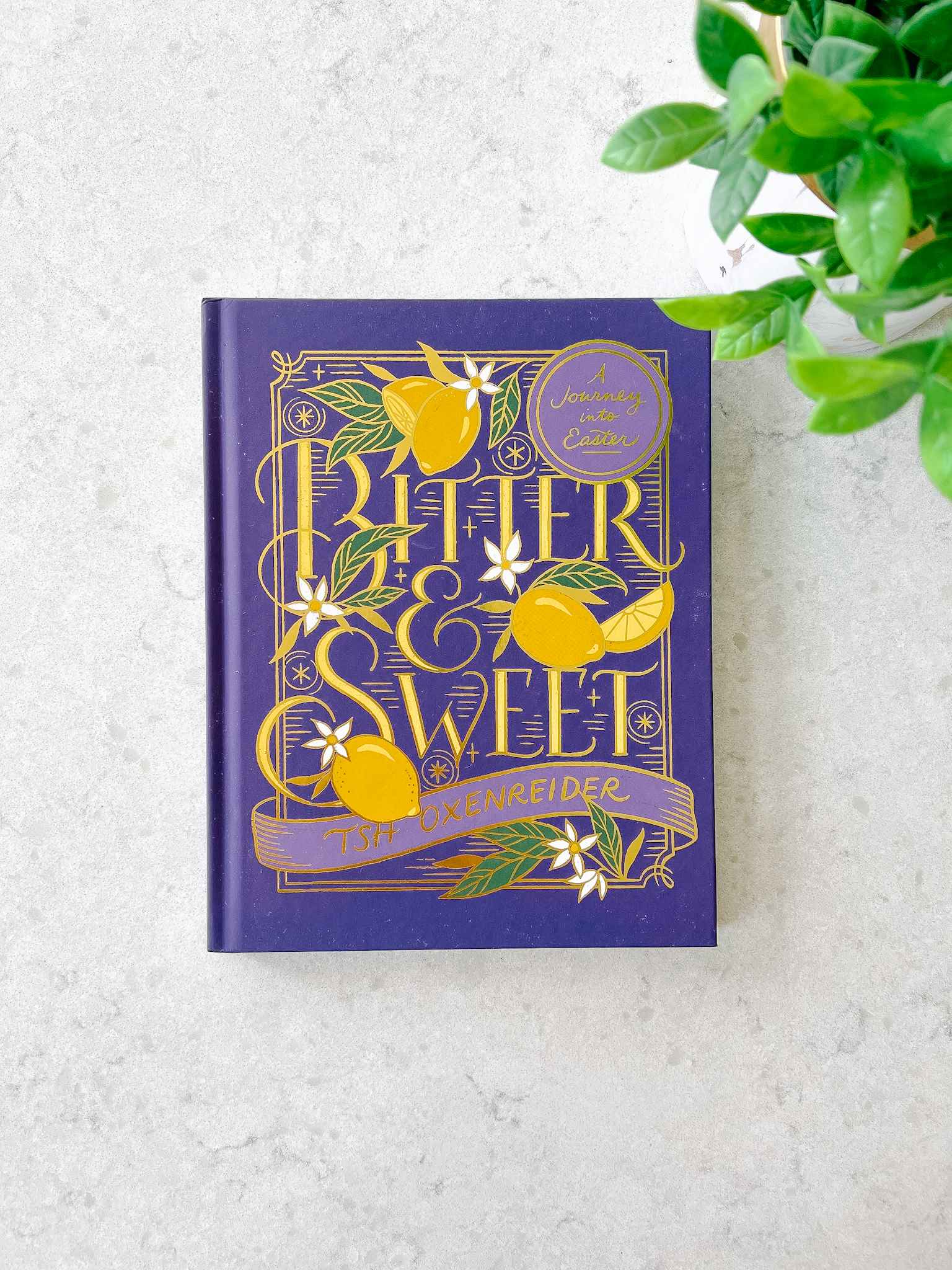 Bitter & Sweet: A Journey into Easter - Inspirational Easter Story Book for Adults & Teens - Perfect for Holiday Reading, Book Clubs & Gift Giving