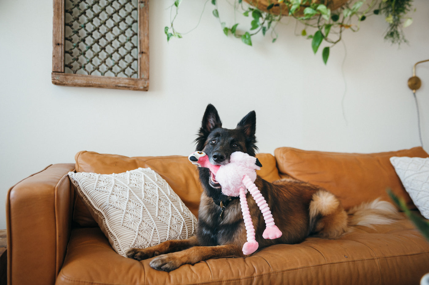 Flora the Flamingo Plush Dog Toy - Soft & Durable Fetching Flock™ Chew Toy for Small & Medium Dogs | Perfect for Playtime, Training & Cuddling | Pet P.L.A.Y.