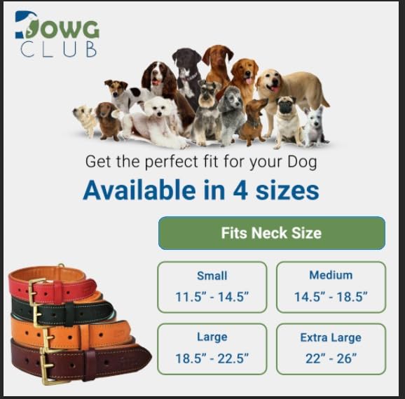 Premium Genuine Full Grain Leather Dog Collar for Medium Dogs - 1 Inch Wide, Heavy Duty with Soft Inner Padding - Comfortable & Durable (14.5