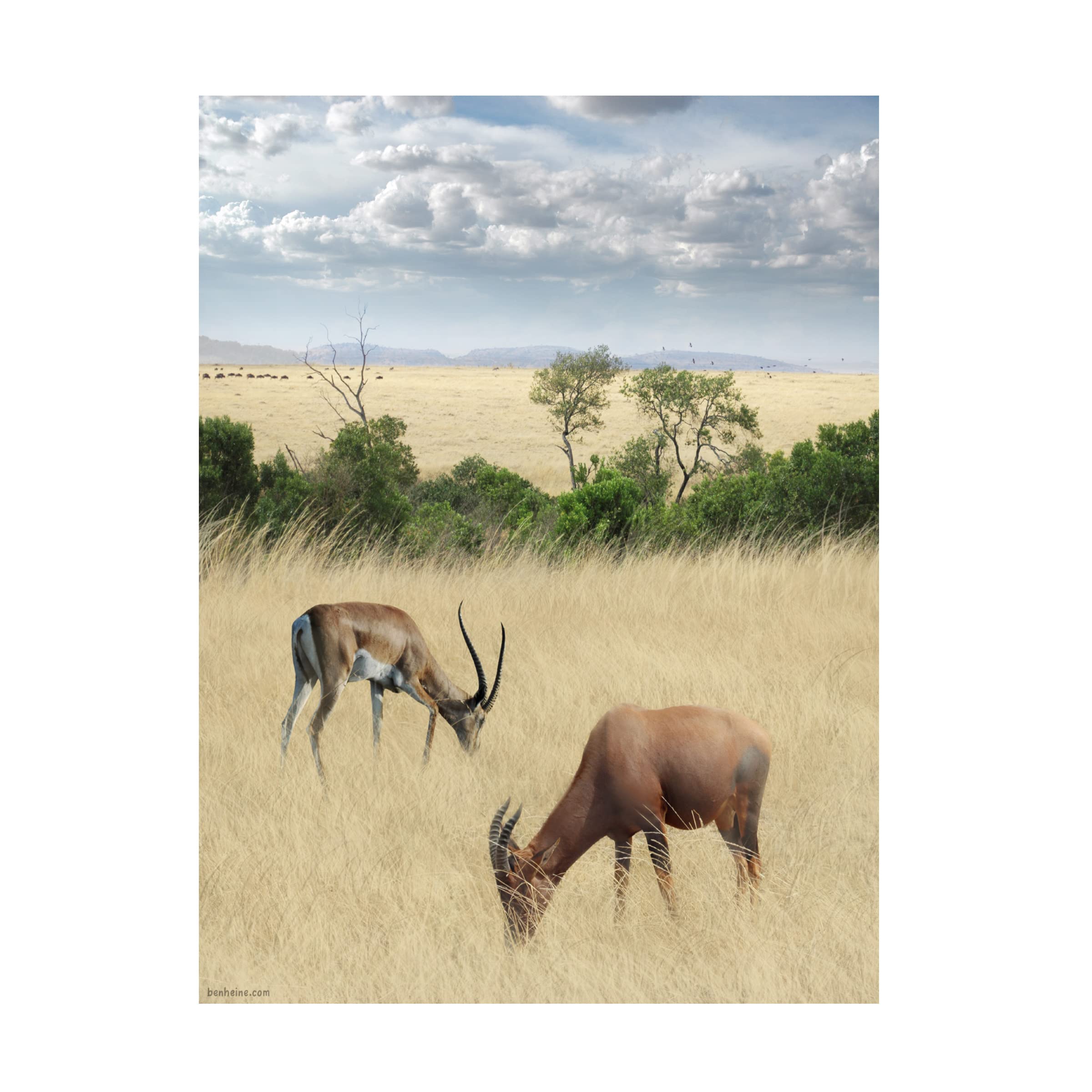 Ben Heine 'Kenya 2' Canvas Wall Art Print - Modern African Landscape Painting for Living Room, Bedroom & Office Decor | Trademark Fine Art Collection