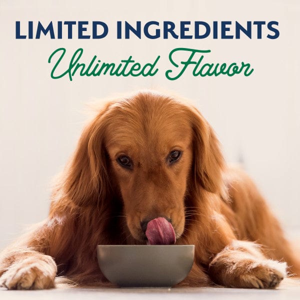 Natural Balance Limited Ingredient Lamb & Brown Rice Recipe Canned Dog Food - Grain-Free, Hypoallergenic Wet Food for Dogs with Sensitive Stomachs - Perfect for Mealtime, Travel & Emergency Pet Food Storage