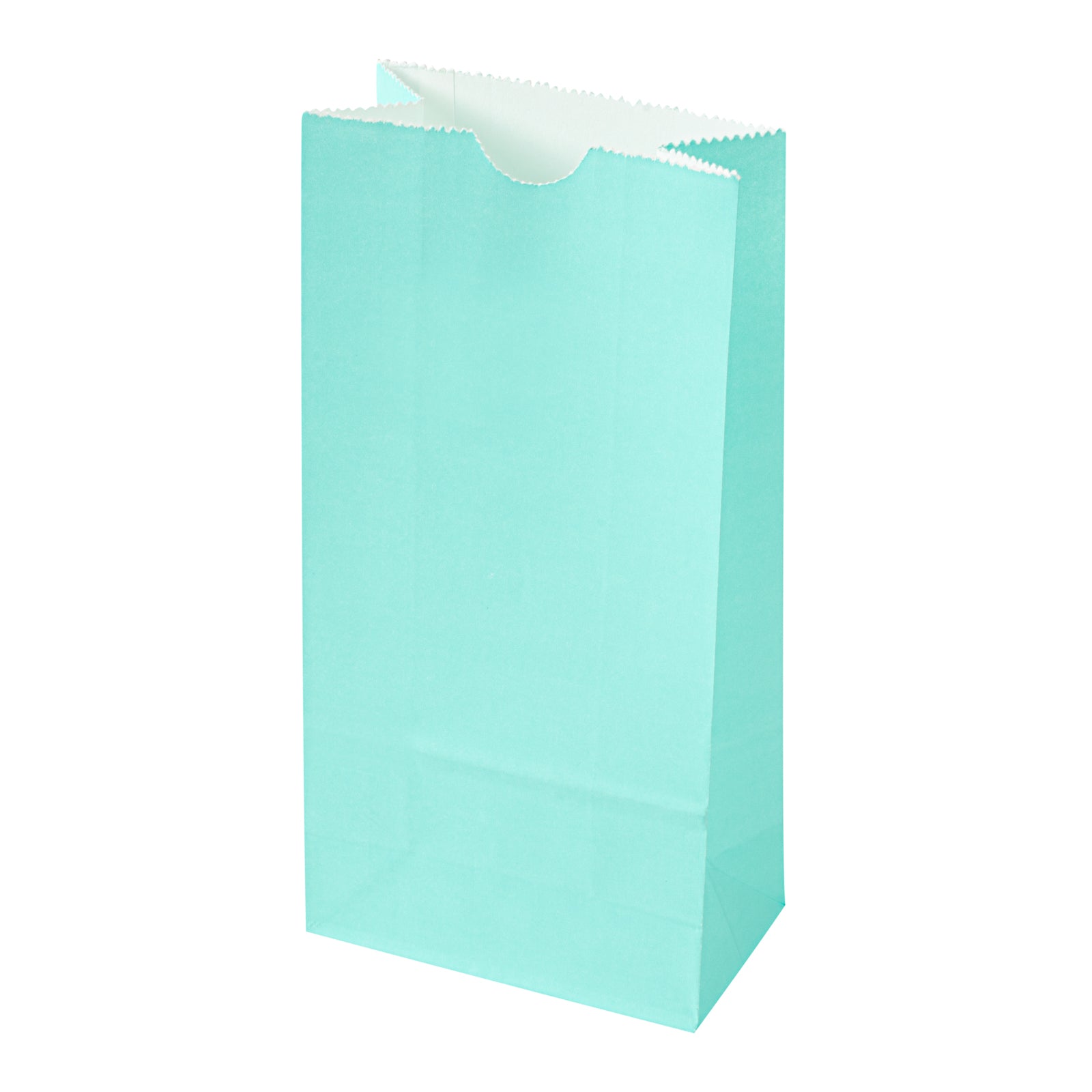 Premium Turquoise Paper Bags - 2 lb Capacity, 4.25