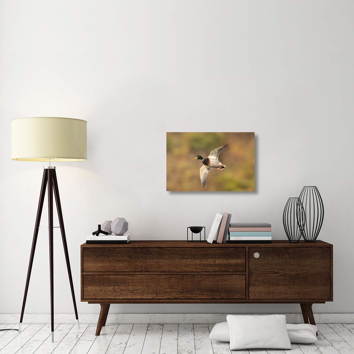 Global Gallery Mallard Male Flying Canvas Art Print - Kellogg Bird Sanctuary Michigan - 30x20 Inches Wall Decor for Living Room, Bedroom & Office