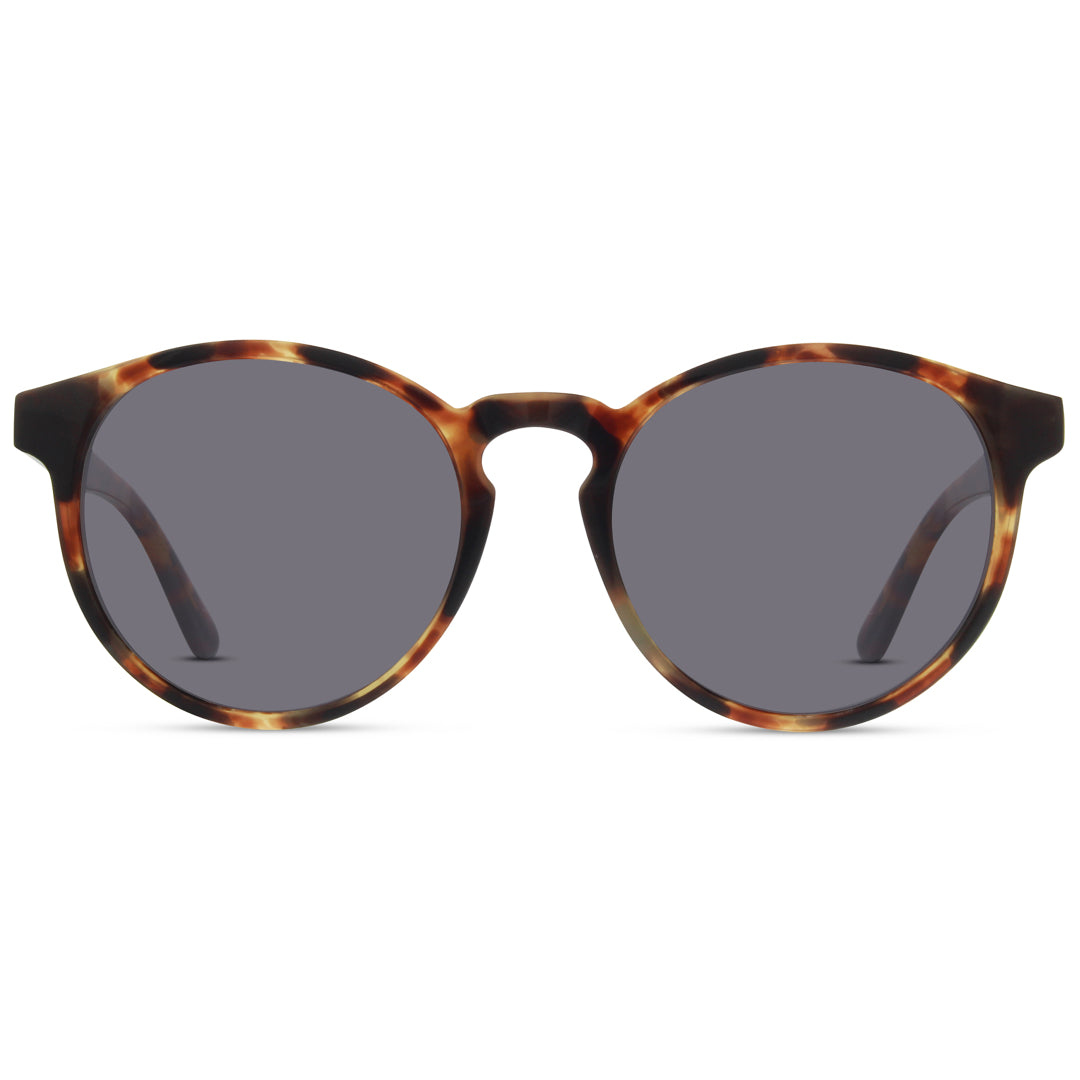 Amber Tortoise