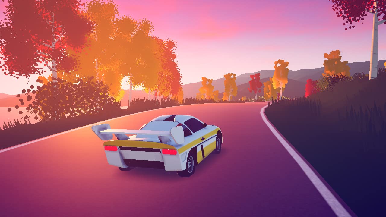 Art of Rally - Nintendo Switch Racing Game - Experience Thrilling Drift & Rally Racing for Solo or Multiplayer Fun at Home or On-the-Go