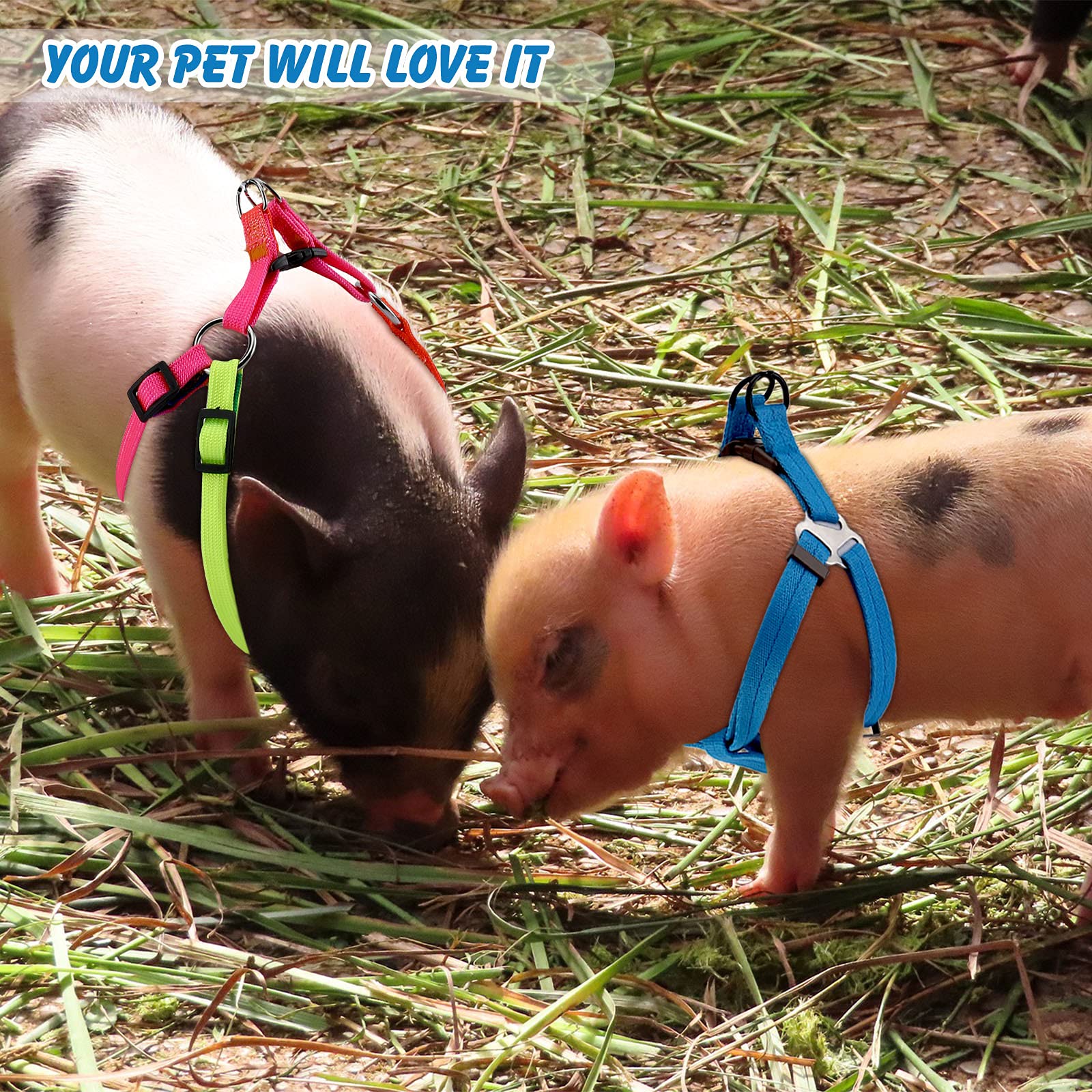 Frienda 2 Pack Adjustable Mini Pig Harness & Leash Set for Small Pets - Hog, Piggy, Ferret, Rabbit, Dog, Cat - Perfect for Walking, Training, Jogging & Outdoor Adventures