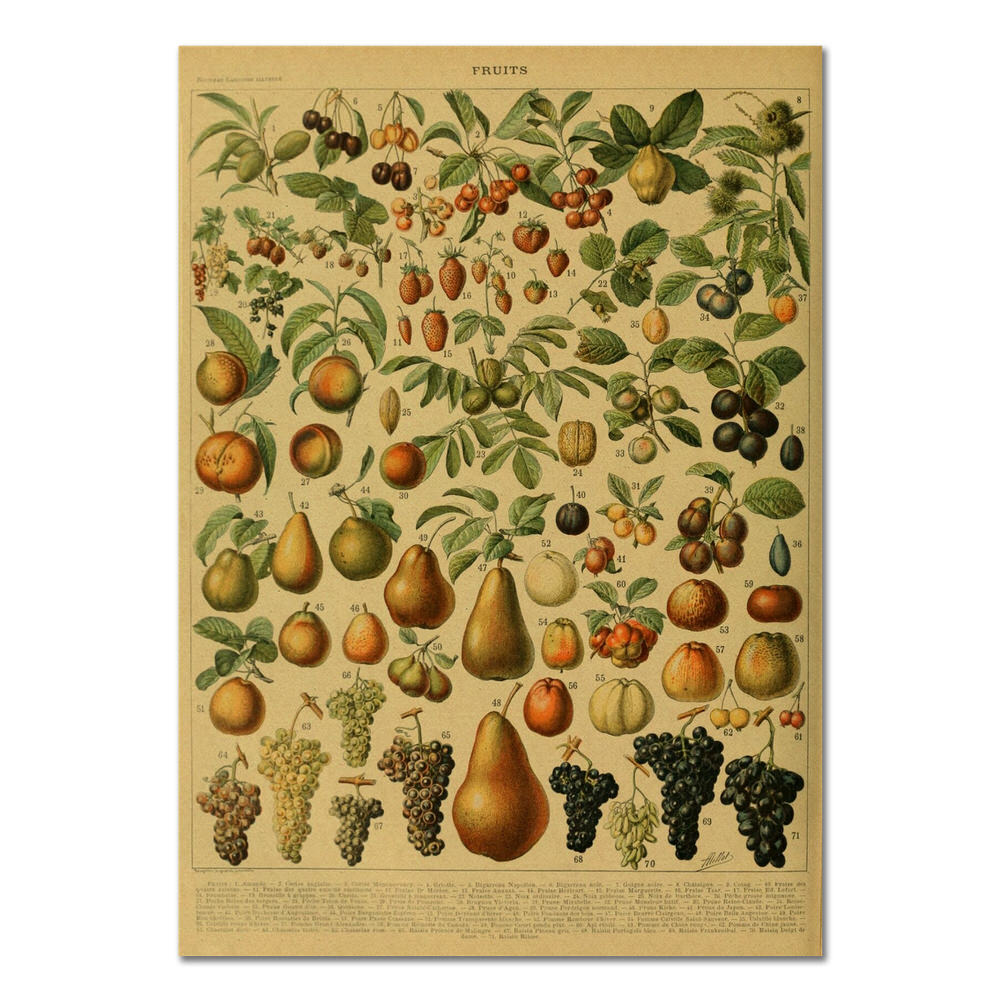 Vintage Fruits Kraft Paper Poster - Retro Kitchen Wall Art Decor for Farmhouse, Cafe & Home Decorating