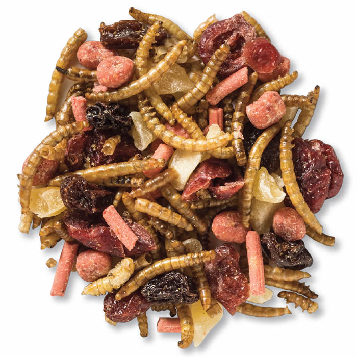 Premium Wild Bird Food - Duncraft Berry Delight Trail Mix with Fruits & Seeds | Attract Cardinals, Bluebirds & More | Perfect for Backyard Bird Feeders & Wildlife Gardens