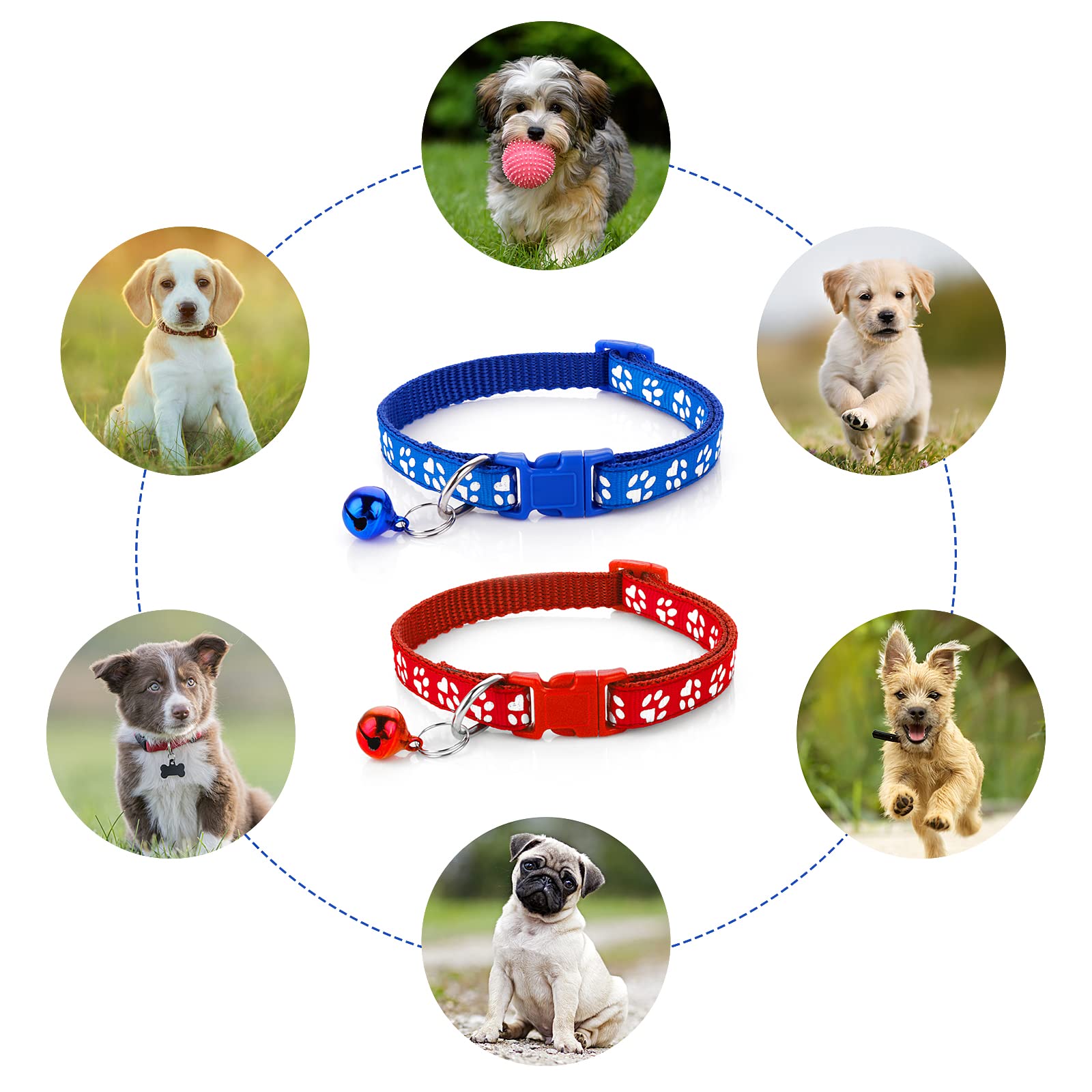 **Molain Adjustable Pet Collar and Leash Set for Dogs & Cats - Durable Quick-Release Clip Training Rope - Perfect for Small Puppies & Kittens (Ideal for Walks, Training & Travel)**