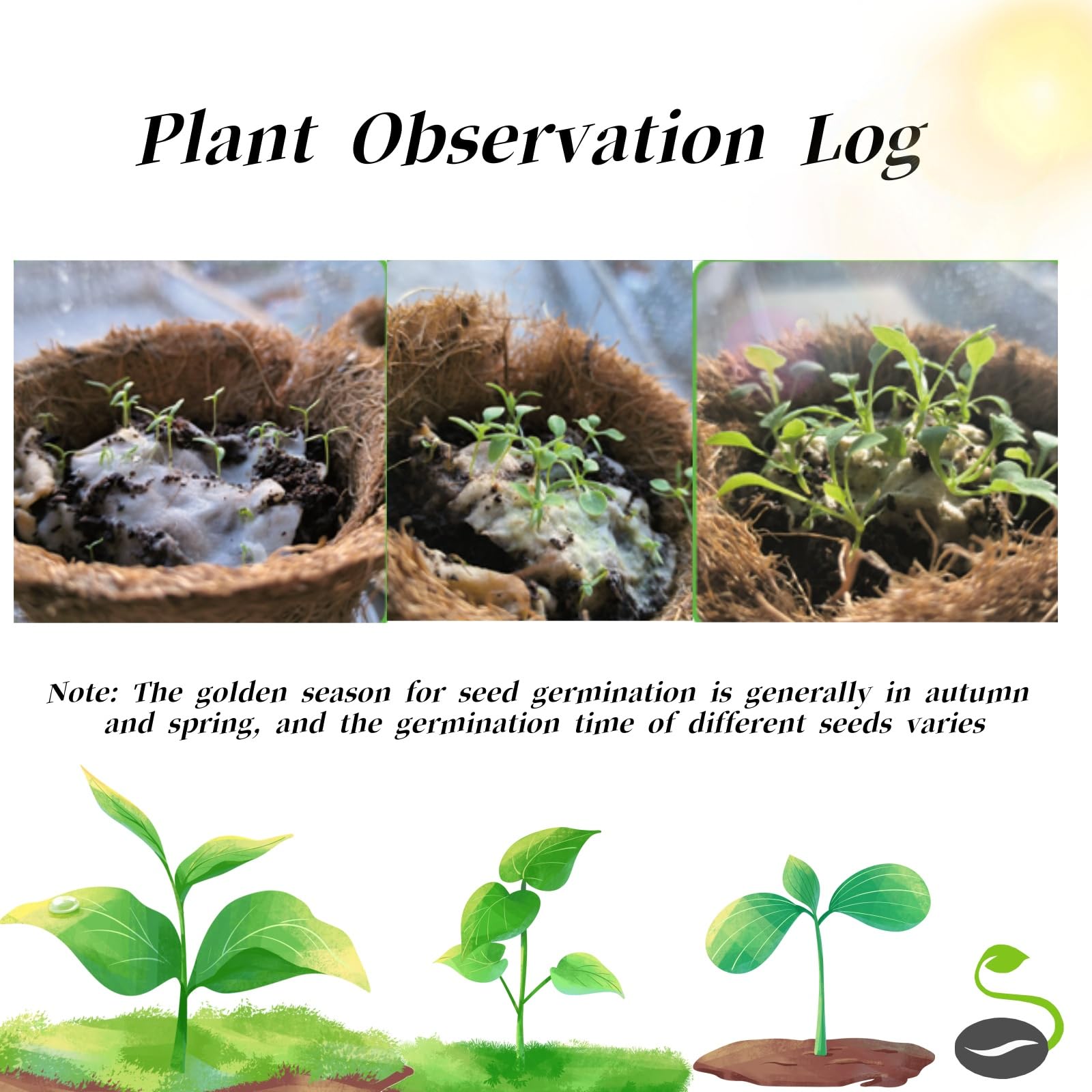 2025 Plantable Seed Calendar - Eco-Friendly Greenery Planner with Growable Herbs & Flowers | Sustainable Gardening Gift for Home, Office & Classroom Organization | Perfect for Planning, Scheduling & Eco-Conscious Living