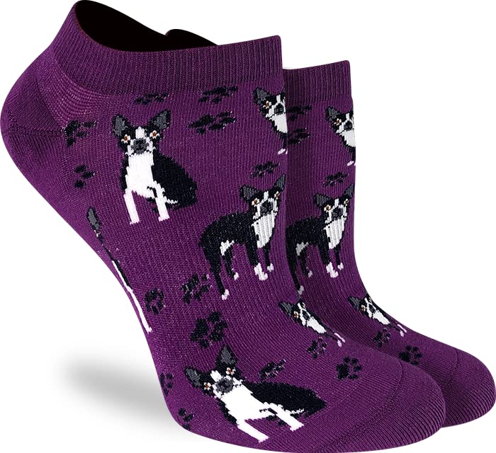 Boston Terrier
