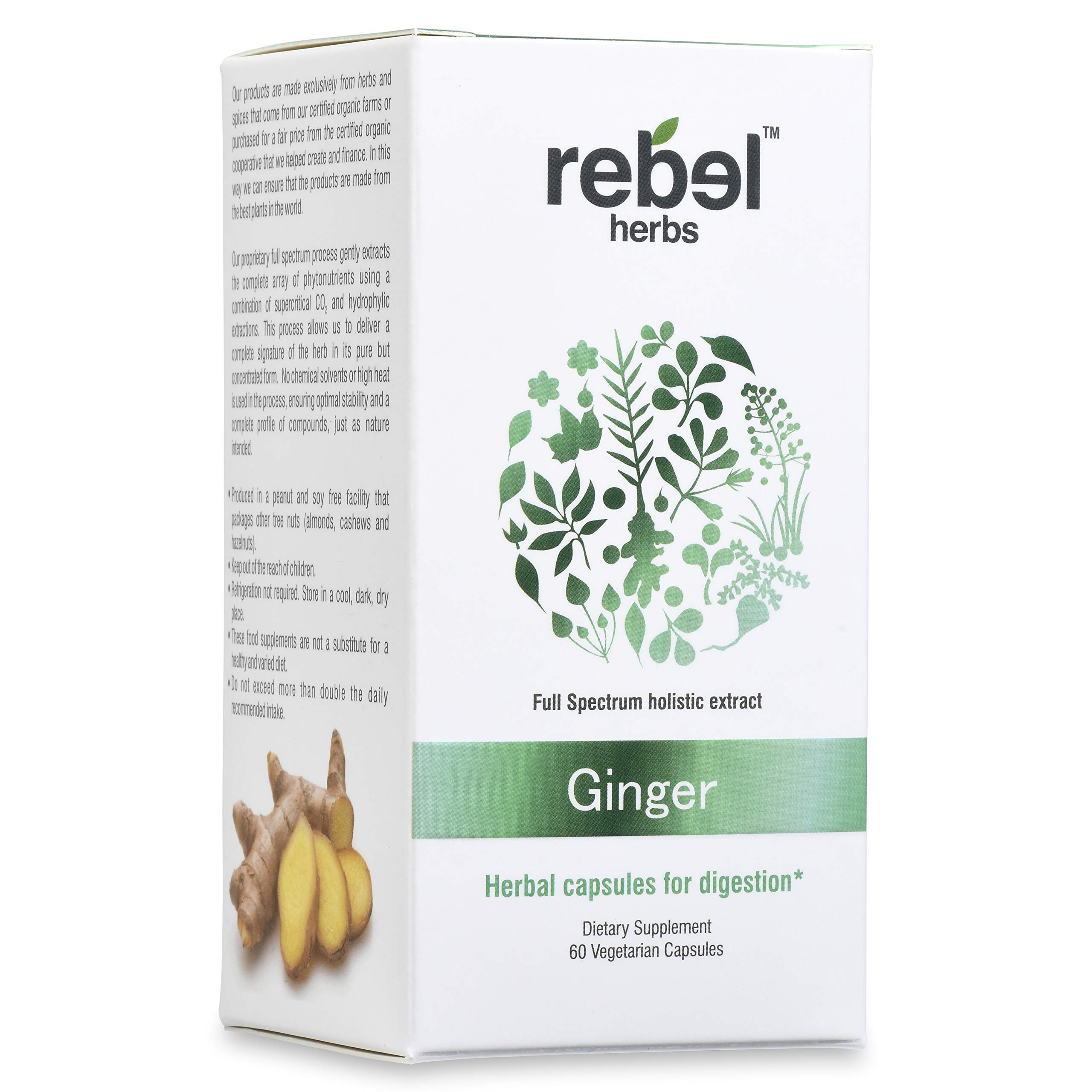 Powerful Dual Extract Ginger Root Capsules - Non-GMO, Gluten Free, 100% Pure Ginger Rhizome Extract | Supports Digestion & Nausea Relief for Travel & Morning Wellness