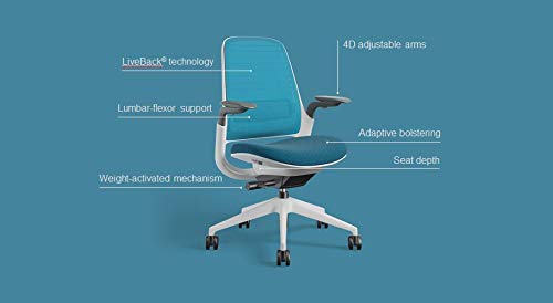 Steelcase Series 1 Ergonomic Office Chair with Adjustable Lumbar Support - Nickel Finish & Hard Floor Casters for Home Office, Gaming, and Workspace Comfort