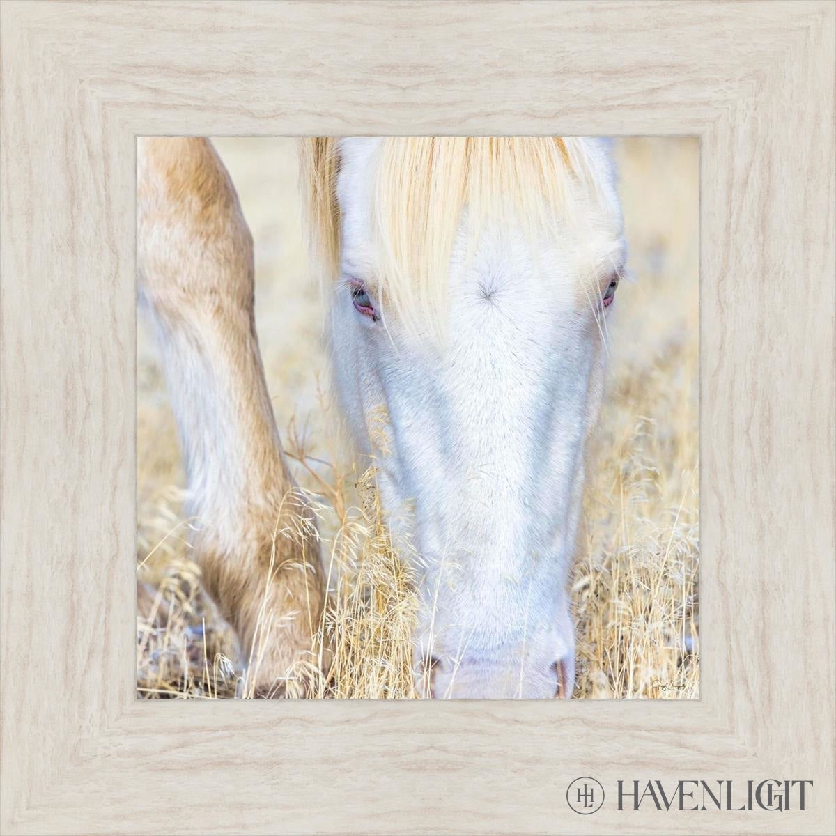 Dry Grass by Greg Sargent - Premium Handcrafted Home Decor for Rustic & Farmhouse Style - Perfect for Wall Art, Shelf Displays & Cozy Living Room Decor