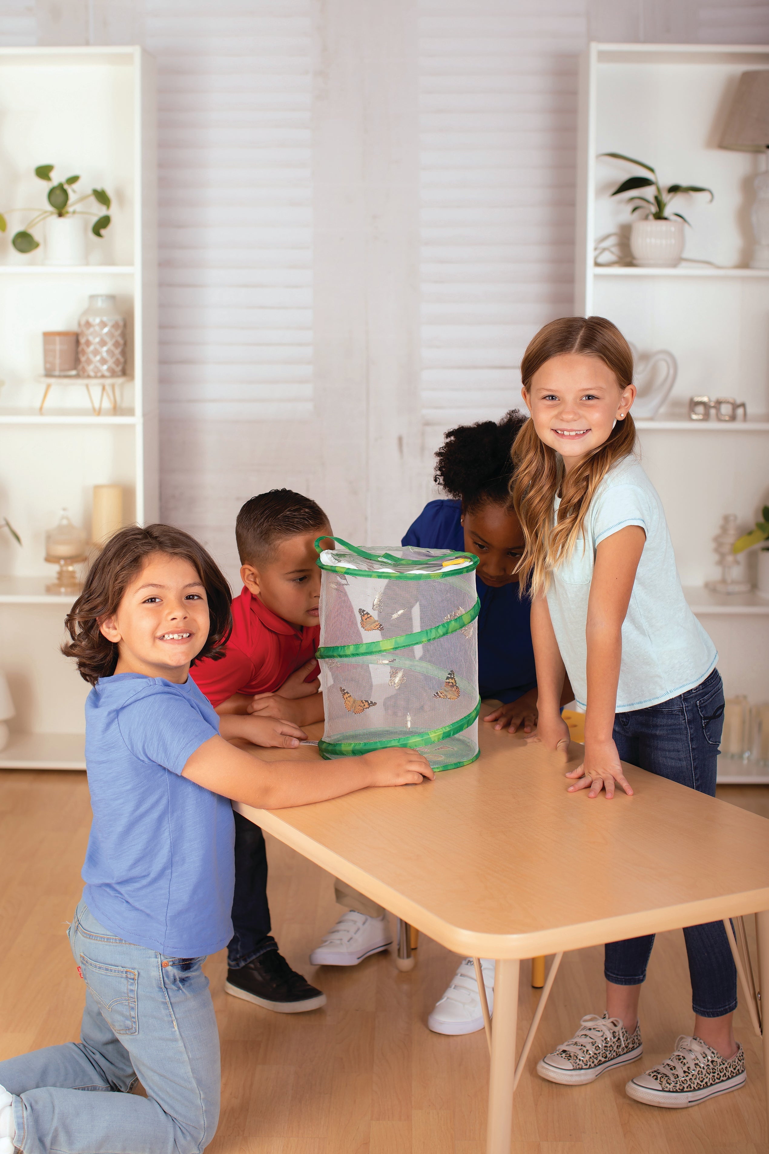 Insect Lore Butterfly Garden Kit with Live Caterpillars - Grow Your Own Butterflies at Home | STEM Educational Toy for Kids | Perfect for Classroom & Homeschool Science Projects