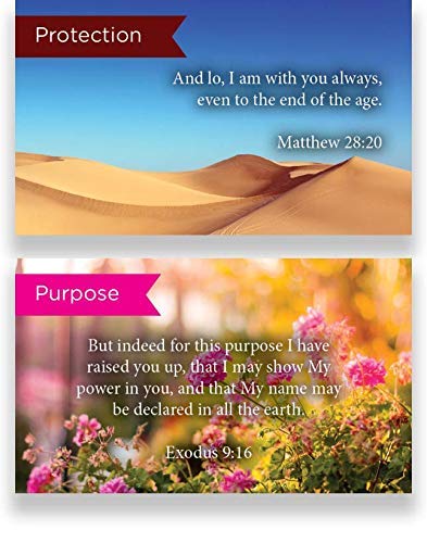 Pass Along Scripture Card Variety Pack - 12 Unique Hand-Picked Designs, 5 of Each (Pack of 60) - Perfect for Bible Study, Church Events & Christian Gift Giving
