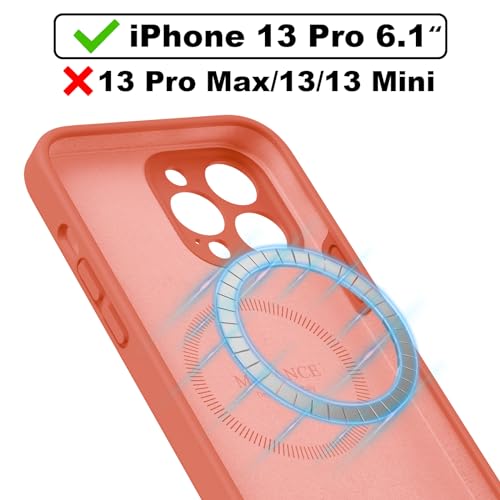 Pink orange