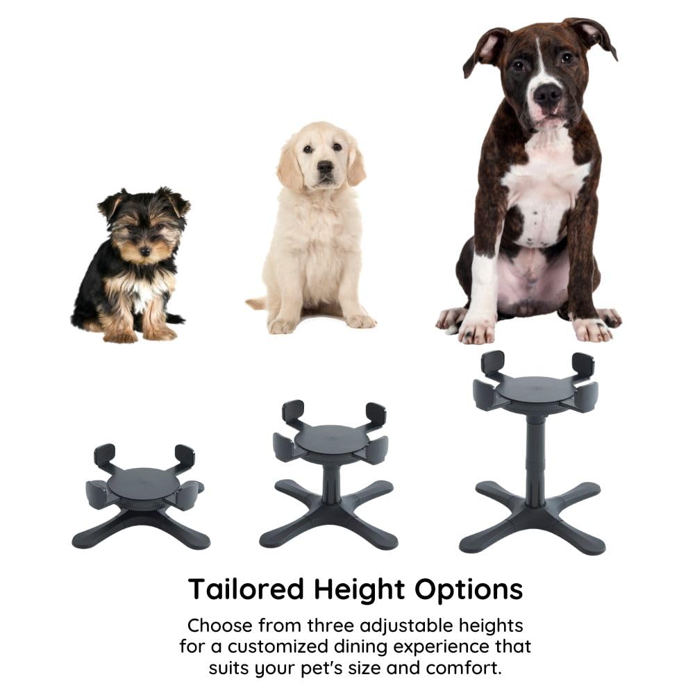 Elevated Adjustable Dog Bowl Stand - 3 Height Adjustable Feeding Station for Medium & Large Dogs - Compatible with Most Bowls (2 Pack) - Perfect for Dining, Training & Outdoor Use