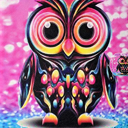 Color Owl