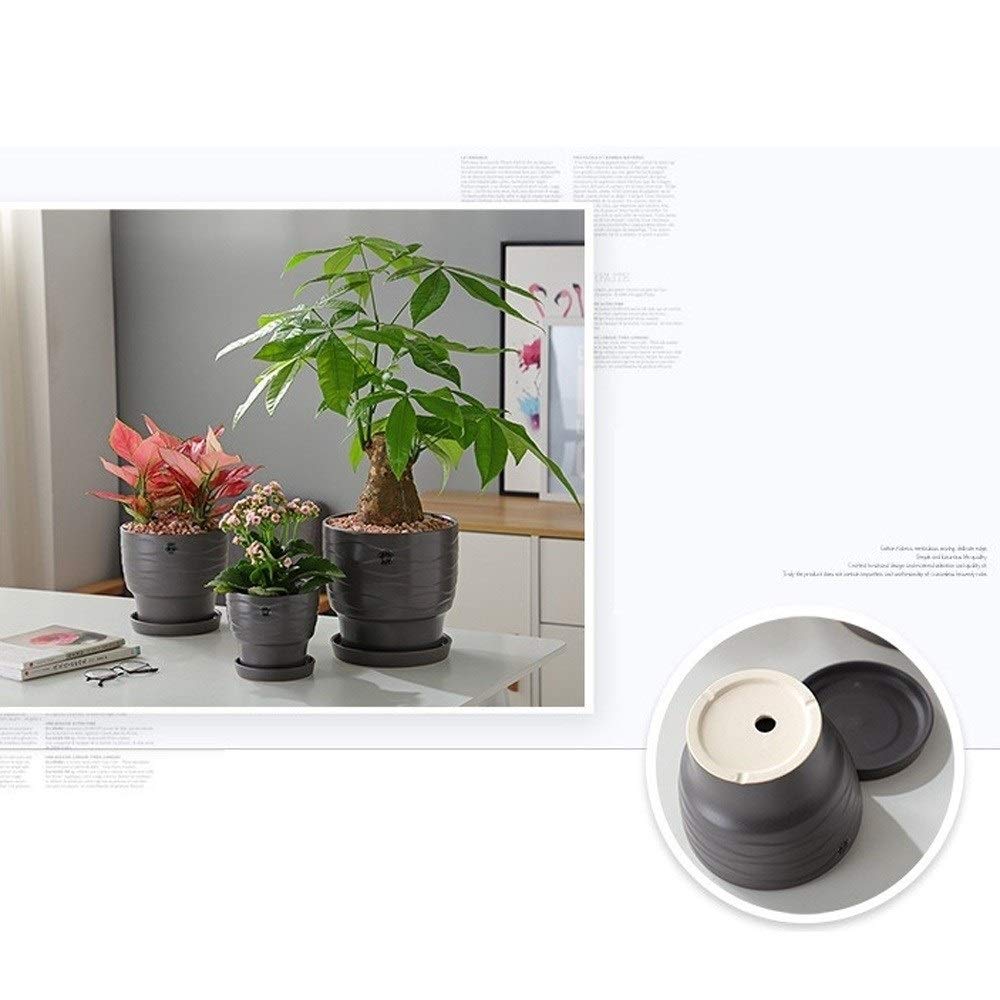 Ceramic Succulent Planter with Drainage Hole & Tray - Flower Pot for Cactus, Plants, Home, Garden, Office & Desk Decor - Perfect for Indoor & Outdoor Use, Tabletops, Windowsills & Gifts