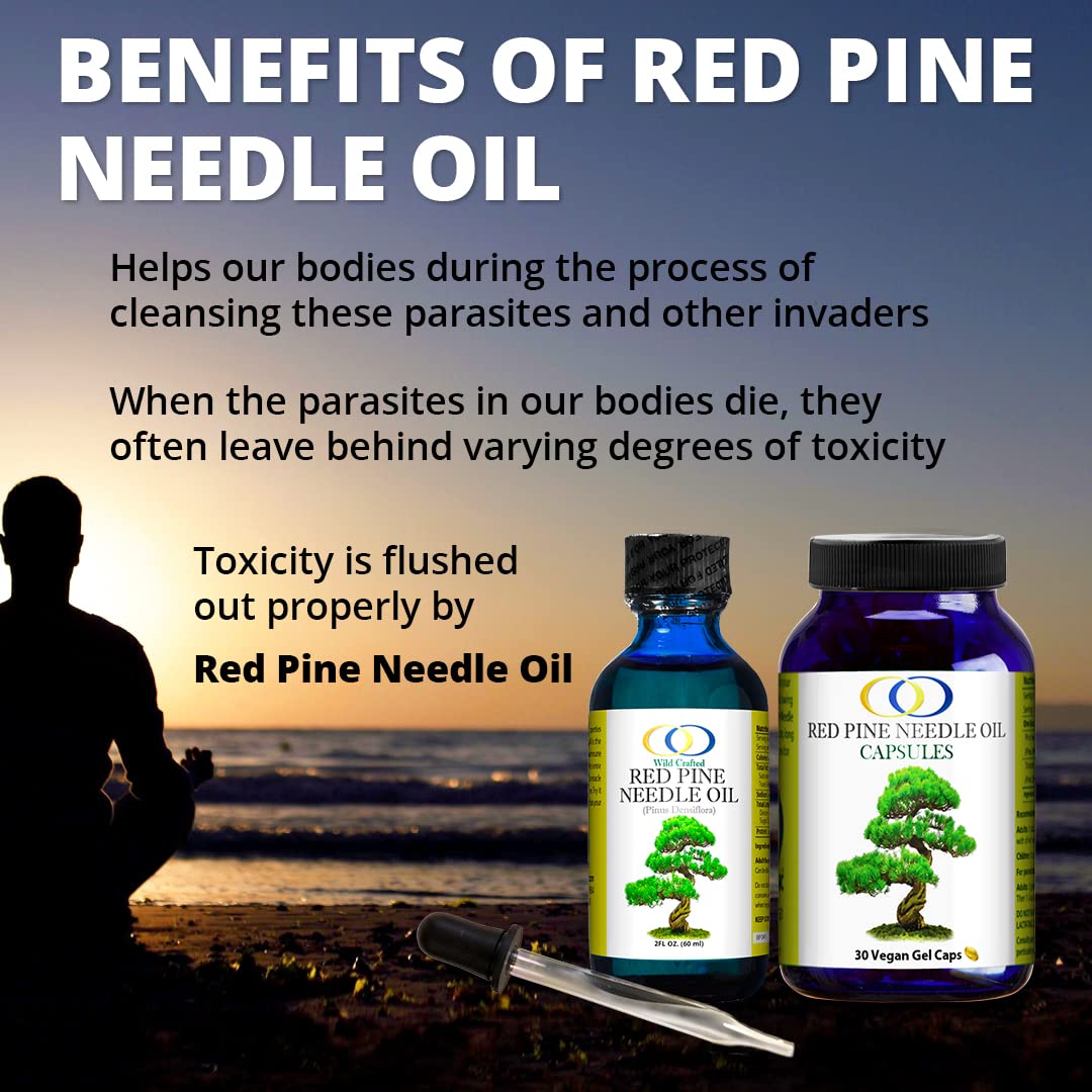 Optimally Organic Red Pine Needle Oil 2oz - Natural Immune Booster with BioActive Compounds for Cell & DNA Support - 1290 Drops (3-7 Drops per Dose) - Vegan, Non-GMO Longevity Supplement - Perfect for Daily Wellness & Immune System Support
