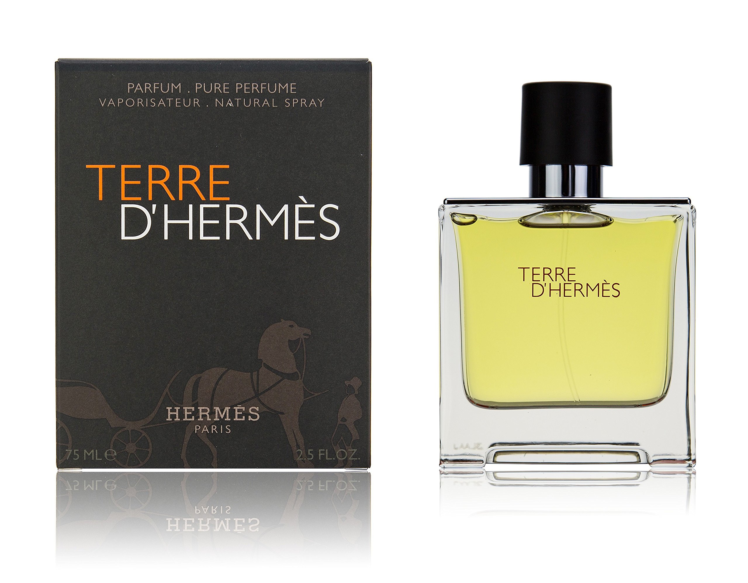 TERRE D'HERMES by Hermes Eau de Parfum Spray for Men - 2.5 oz / 75 ml - Woody Aromatic Fragrance | Perfect for Date Night, Office & Special Occasions