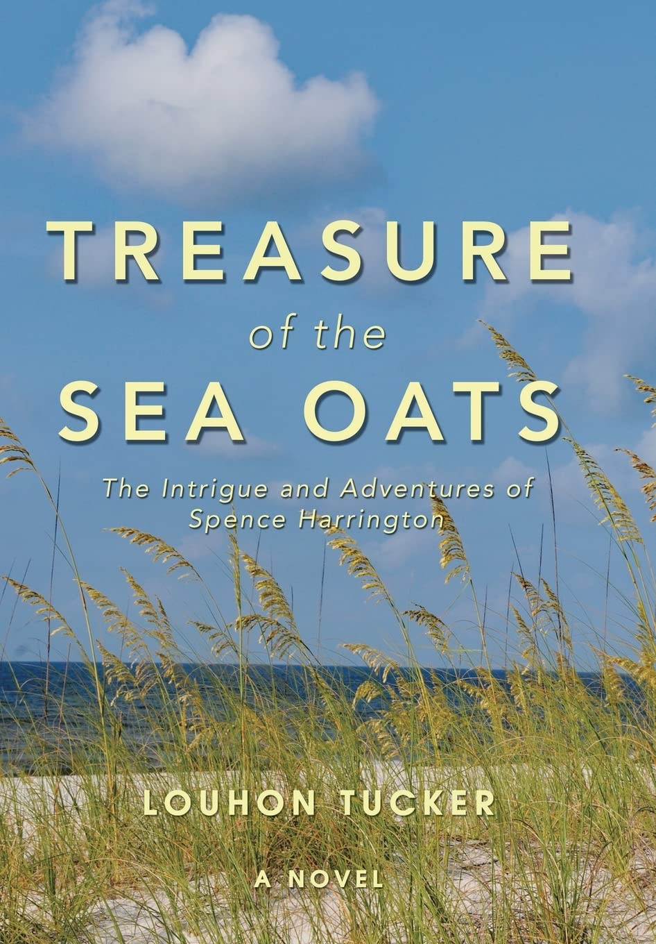 Treasure of the Sea Oats: Spence Harrington's Coastal Mystery & Adventure Novel | Perfect for Beach Reading & Summer Vacation