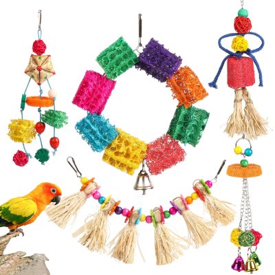 A Colorful Adventure: The Loofah Bird Swing