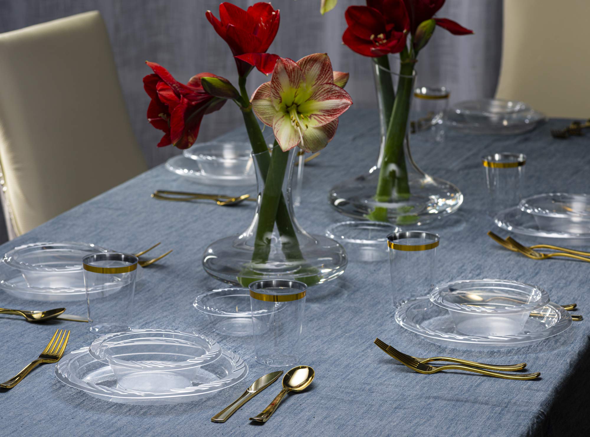 PLASTICPRO Premium Heavy Duty Clear Disposable Plastic Plates - 10 Inch, Pack of 480 - Shatterproof Dinner Plates for Parties, Picnics, BBQs & Catering Events