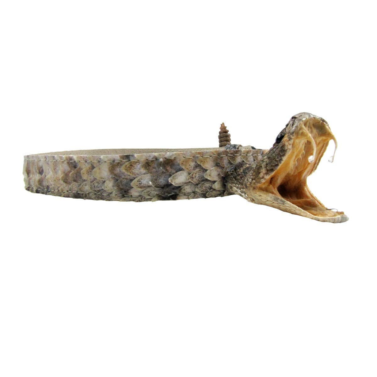 Genuine Eastern Diamondback Rattlesnake Cowboy Hat Band - Real Snakeskin Western Accessory for Cowboy Hats, Rodeo Events & Country Style Fashion