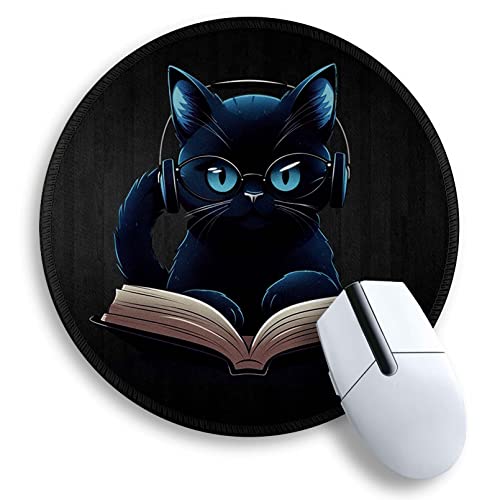 Funny Cat