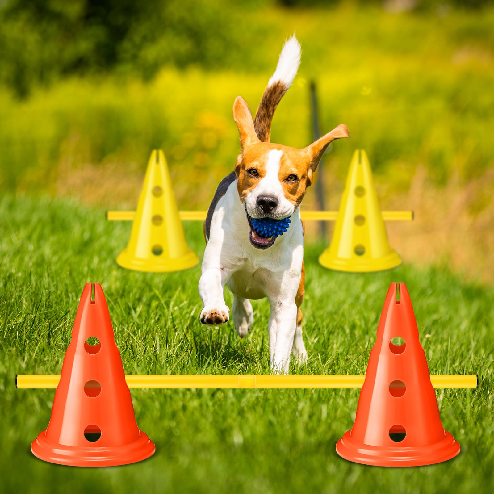 Premium Dog Agility Training Set - 12 Cones & 6 Adjustable Rods for Backyard Obstacle Courses | Professional Pet Exercise Equipment for Outdoor Games & Competition Practice (Yellow)