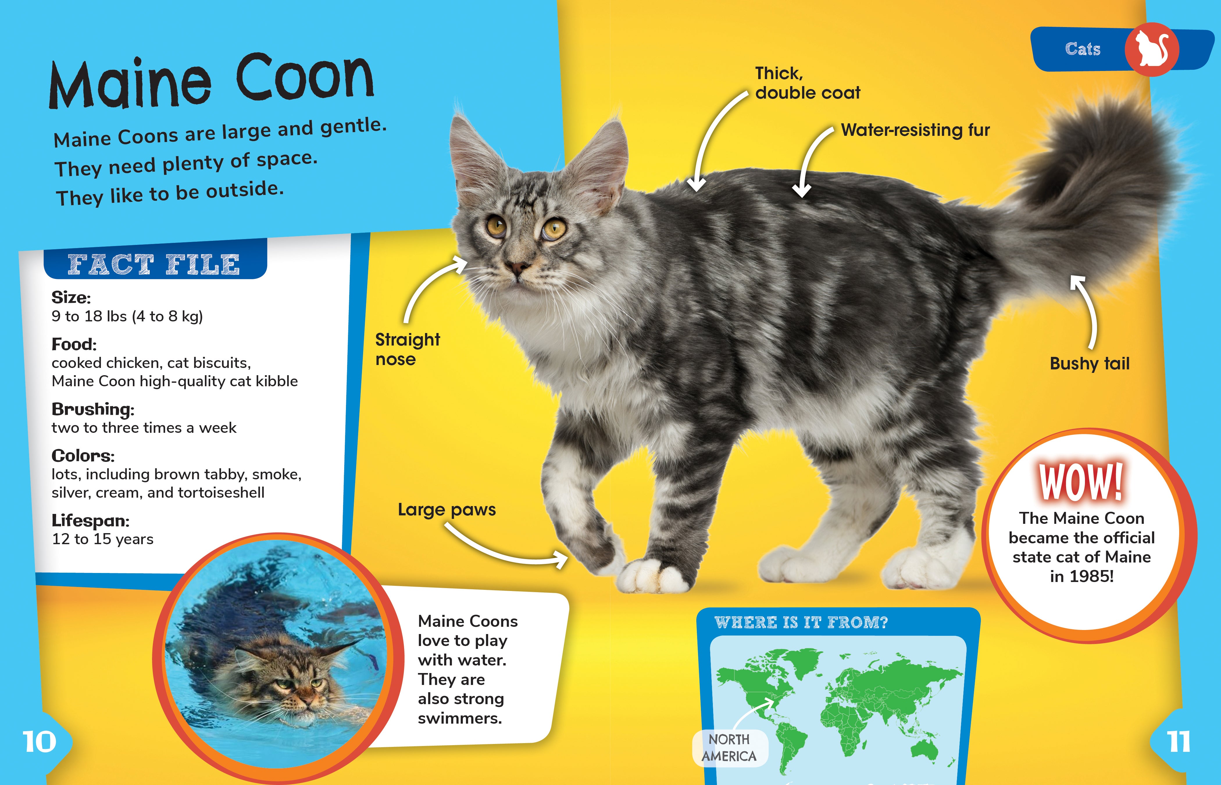 Cat Detective Toys for Pets - Fun Interactive Puzzle Games for Smart Cats | Indoor Play & Mental Stimulation
