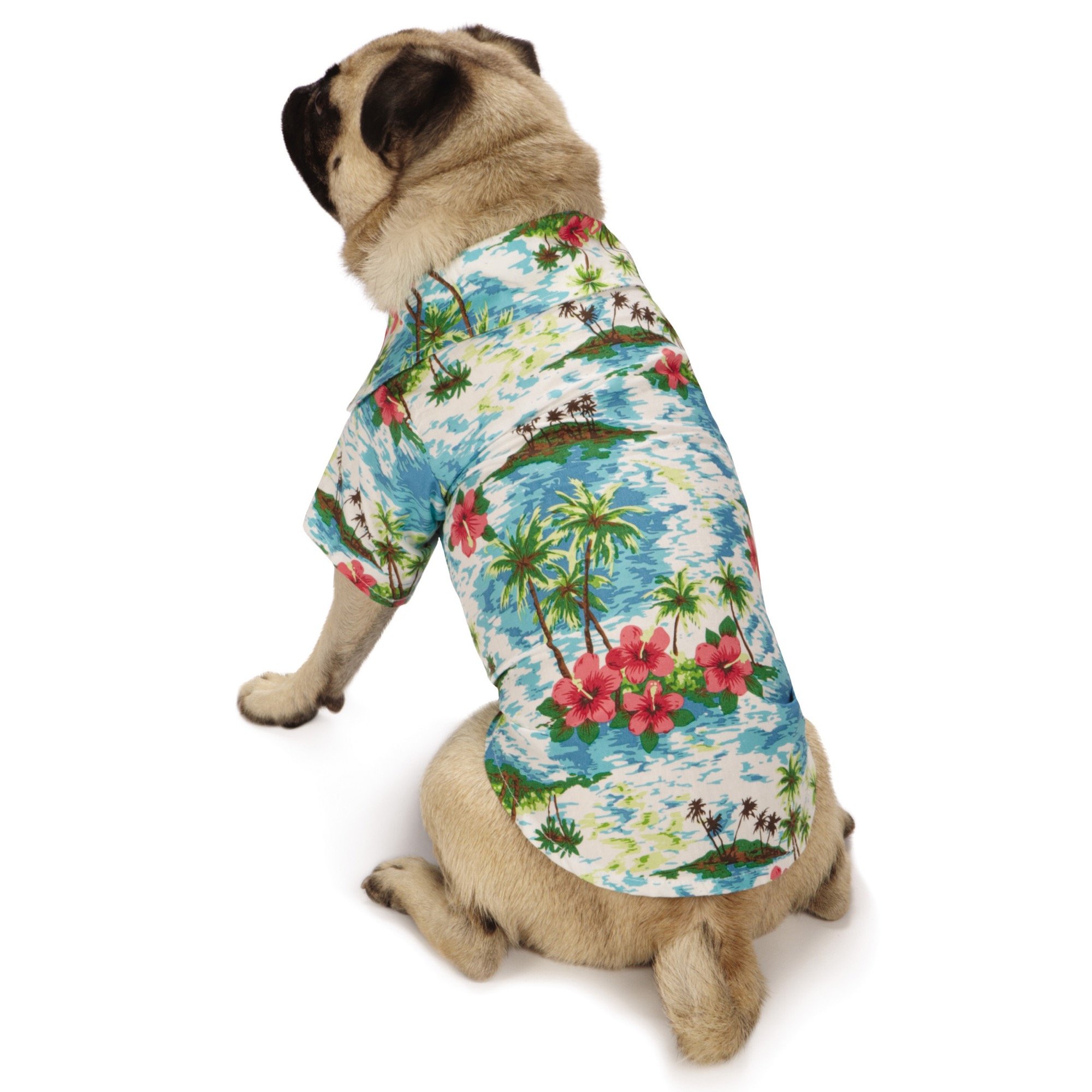 Pet Shirts for Dogs & Cats - Comfortable Camp Style Tee in Blue, Small & Medium Sizes | Perfect for Outdoor Adventures, Hiking & Playtime