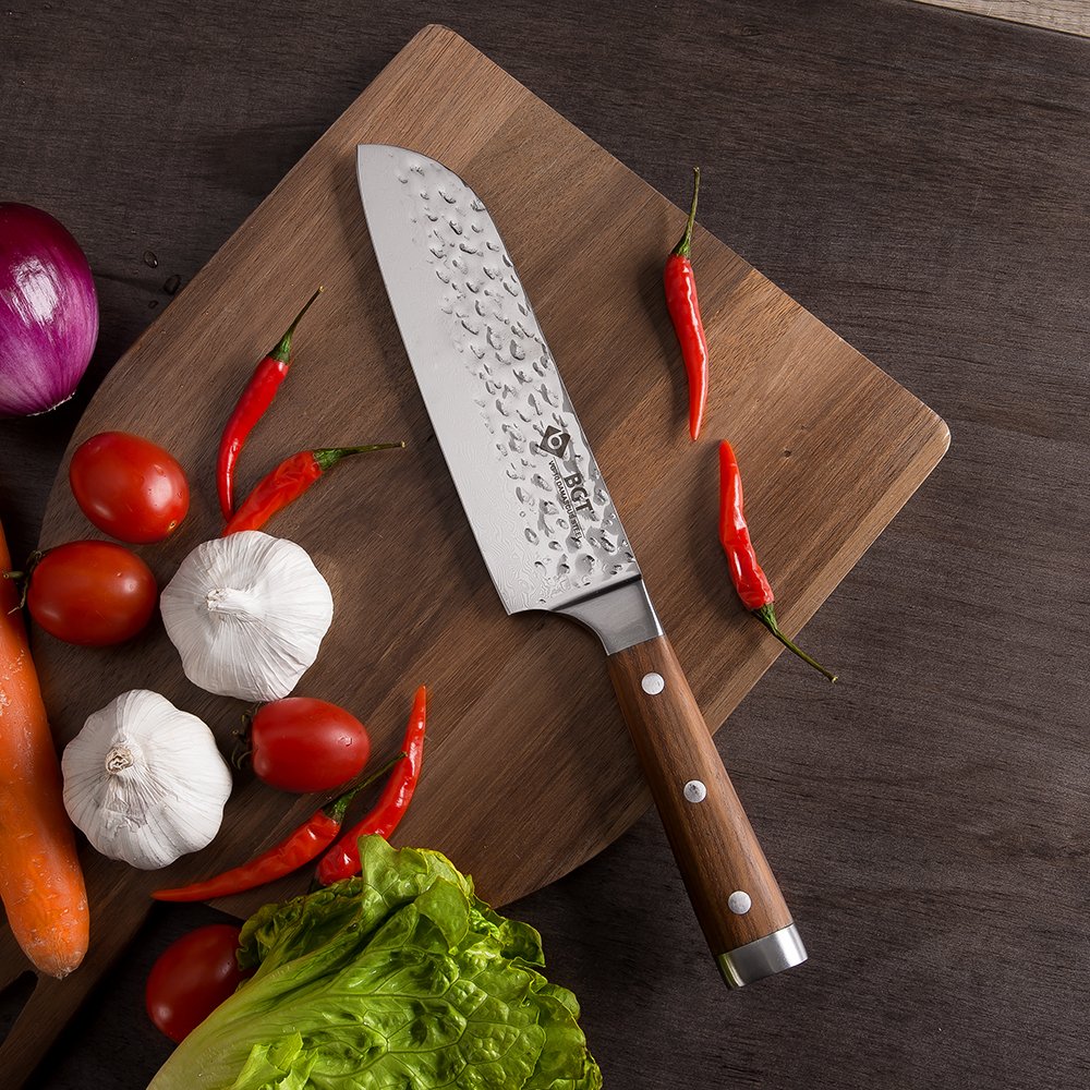 Premium 6-Piece Japanese Damascus Steel Knife Set - 67-Layer VG-10 Super Sharp Kitchen Knives with Teak Handle & Knife Roll Bag - Professional Hammered Chef Knives for Cooking, Slicing, Chopping - Perfect Gift for Home Chefs & Culinary Enthusiasts (Silver Blade)