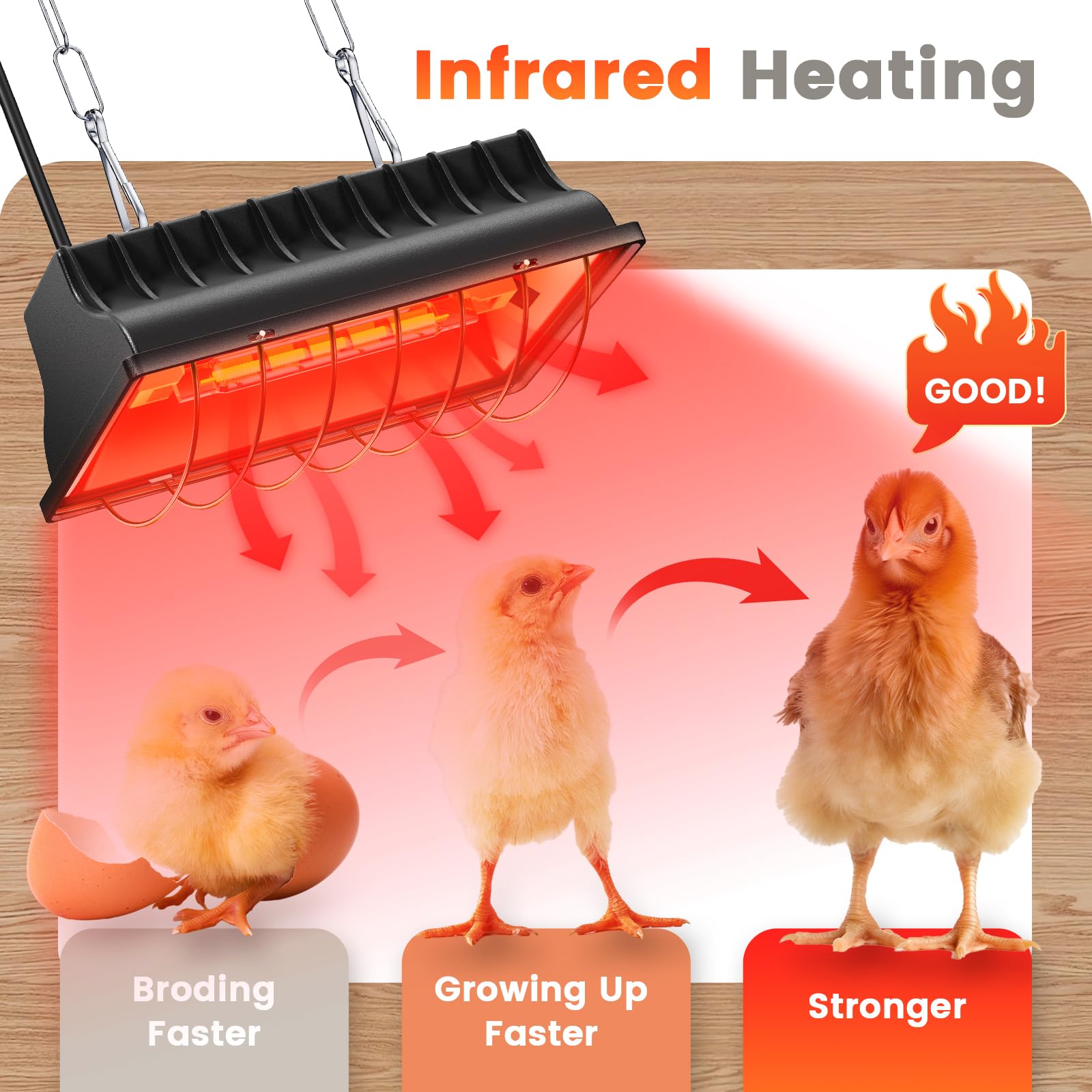 250W Brooder Heater for 30 Chicks - Adjustable Height Chicken Coop Heating Lamp with 7.86ft UL Certified Cord - Safe & Durable Heat Plate for Poultry, Ducklings & Small Animals - Perfect for Indoor Brooding, Winter Warming & Livestock Supplies