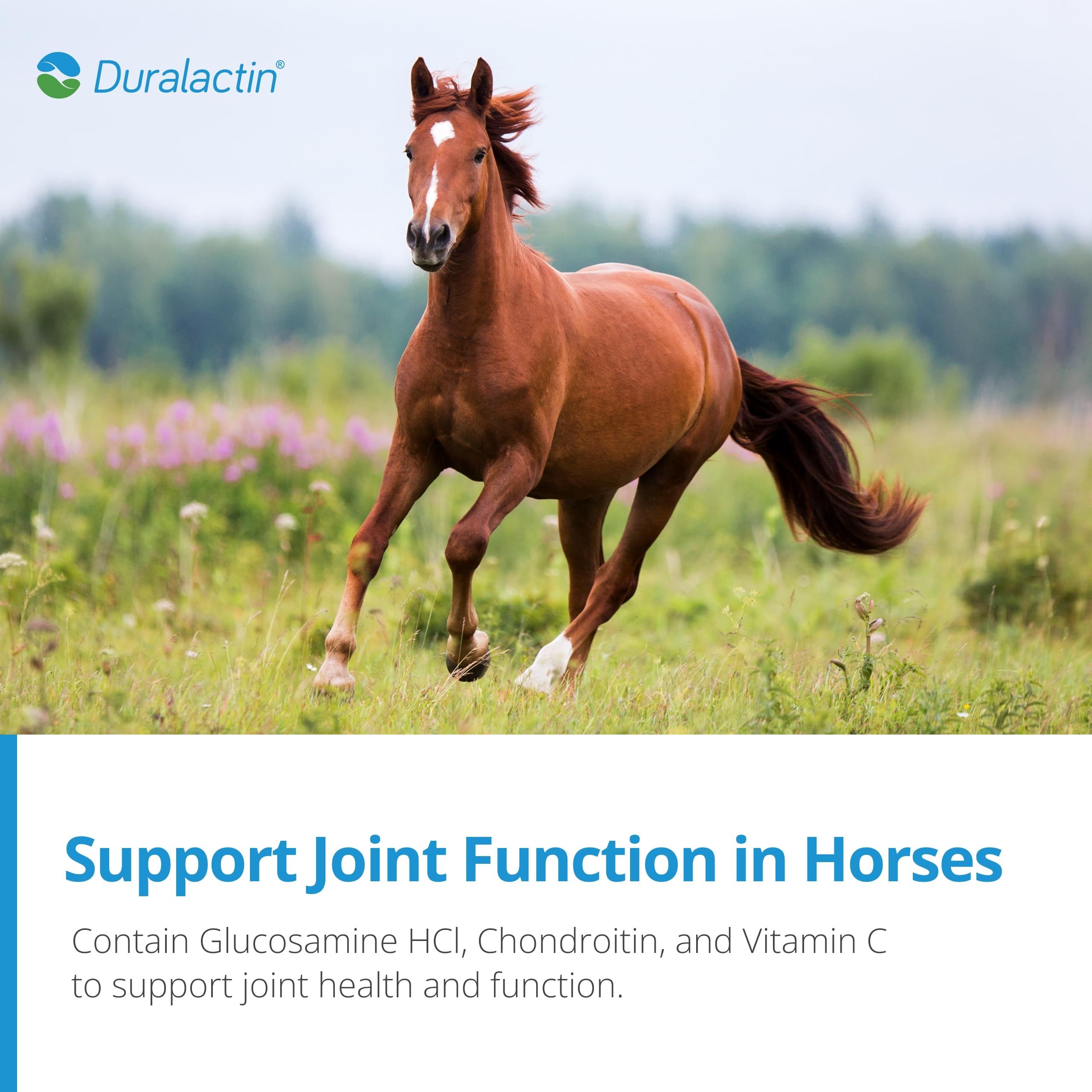 PRN Pharmacal Duralactin Equine Joint Plus Pellets - 3.75 lb Horse Joint Supplement for Healthy Cartilage & Mobility | Supports Joint Function & Soreness Relief | Ideal for Performance Horses & Senior Equine Care