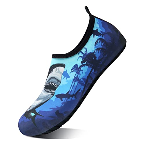 Shark2