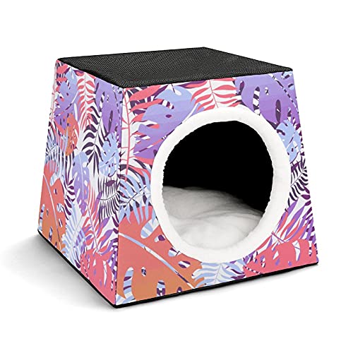 Color9